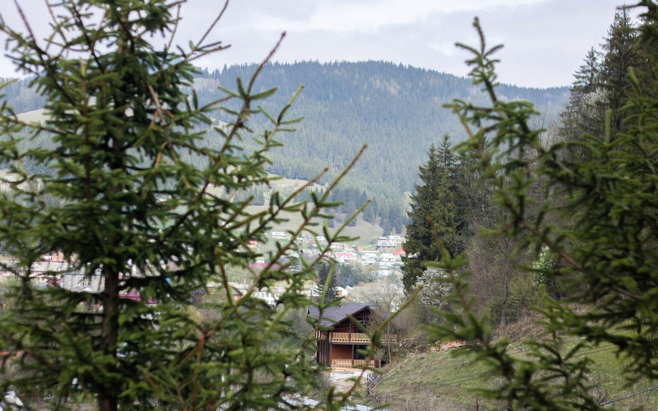 Karpatska Oselia Villa Verkhovyna Bagian luar foto