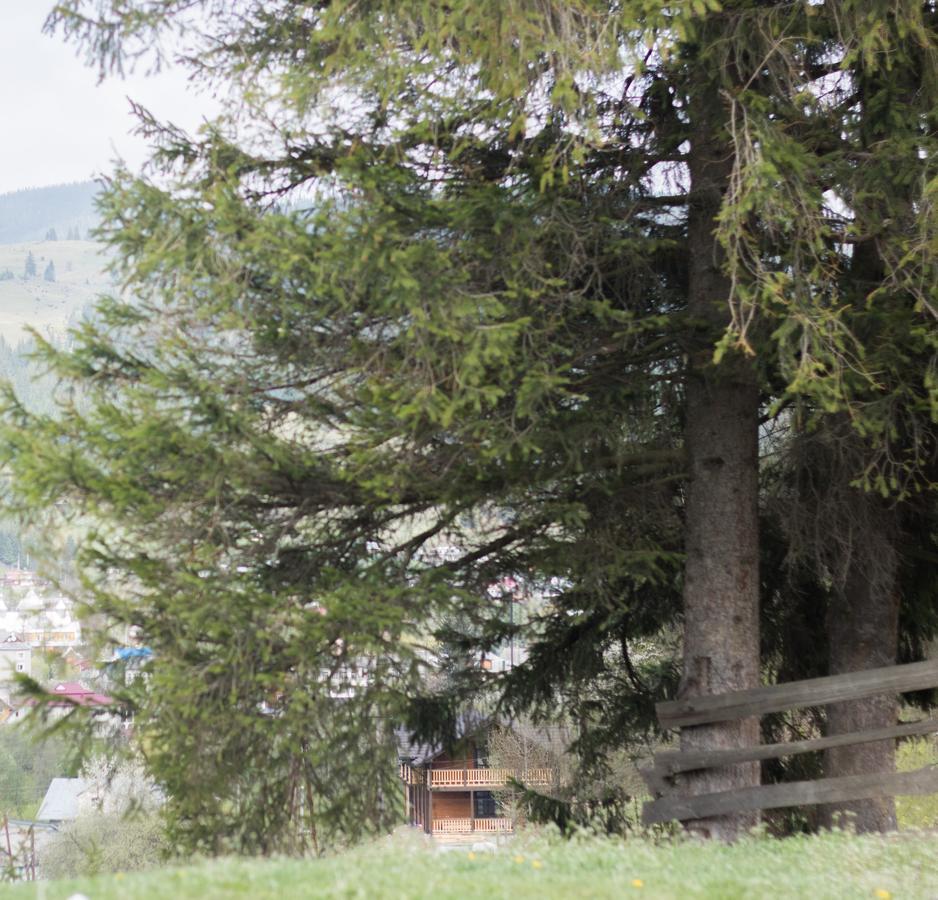 Karpatska Oselia Villa Verkhovyna Bagian luar foto