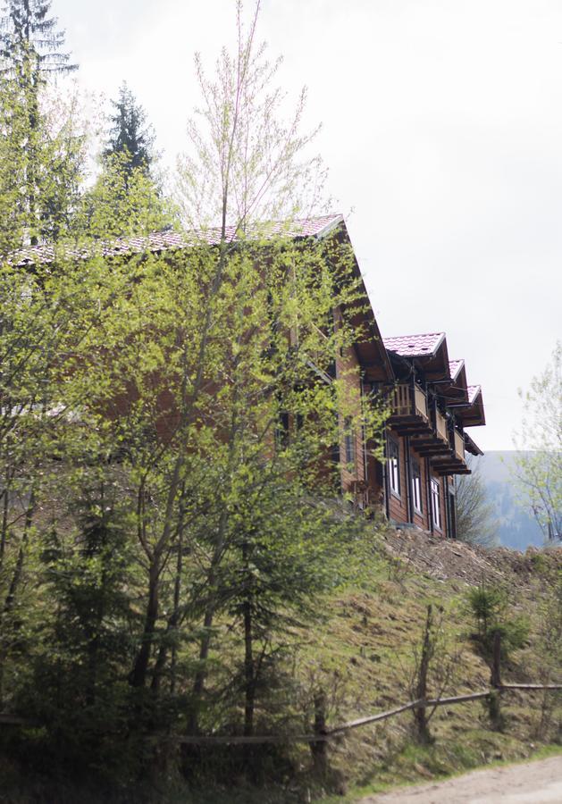 Karpatska Oselia Villa Verkhovyna Bagian luar foto