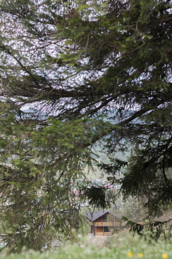 Karpatska Oselia Villa Verkhovyna Bagian luar foto