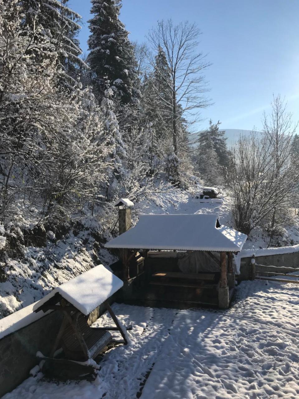 Karpatska Oselia Villa Verkhovyna Bagian luar foto